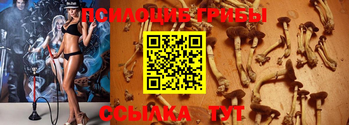 Галлюциногенные грибы MAGIC MUSHROOMS Заволжье